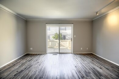 Living Room 4