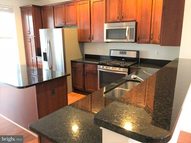 42802 San Sebastian Terrace, Chantilly, VA 20152 - photo 4