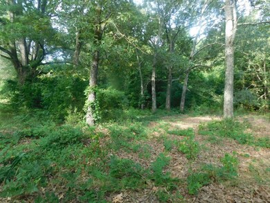 1822 Washington Hwy, Lincolnton, GA 30817 - photo 5