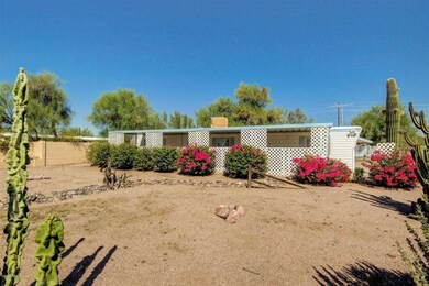 0003-Cholla (3)