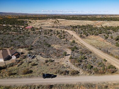 17467 Road 27 7, Dolores, CO 81323 - photo 4
