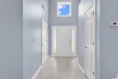 Foyer with baseboards, a wealth of natural light, 