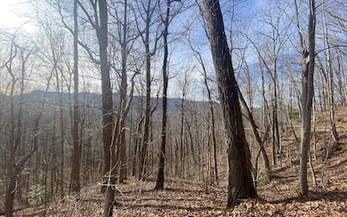 Additional View