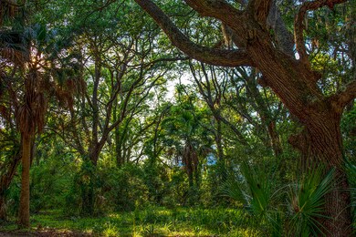 _DSC2348