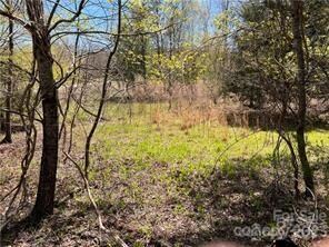 0000 Elliott Ln unit 45 & 48, Rutherfordton, NC 28139 - photo 3