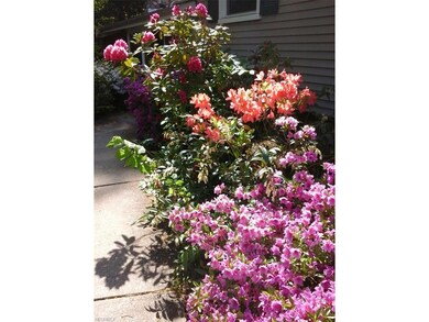 Walkway to the Front Door - When in Bloom - Just G
