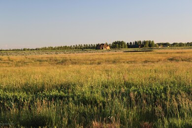 View to the North