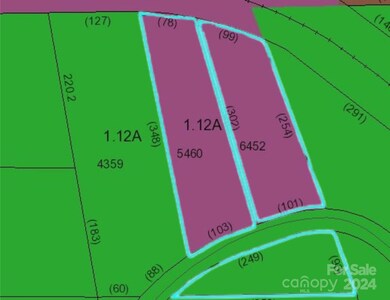 Approximate Zoning. Purple = RA1. Green=RS