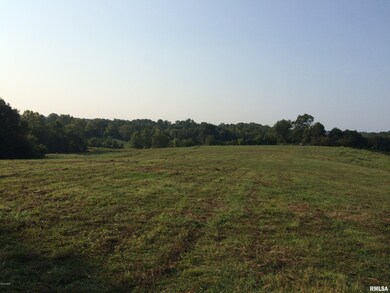 00 Aldridge Rd, Cobden, IL 62920 - photo 5