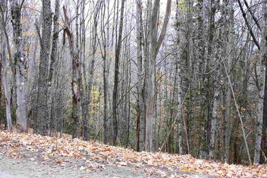 0 Darling Hill Rd unit 4691630, Burke, VT 05832 - photo 2