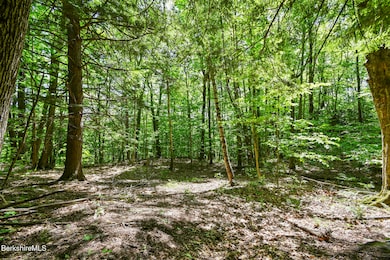 Woods