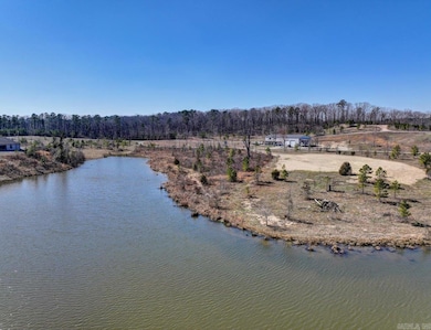 000 Snorting Buffalo Trail, Hot Springs, AR 71901 - photo 5