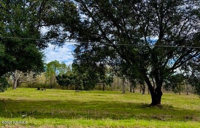0 Tbd 5th Street (Tract 3), Iota, LA 70543 - photo 4