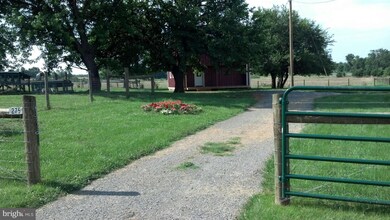 0 Bryarly unit 2 1003595874, White Post, VA 22663 - photo 4