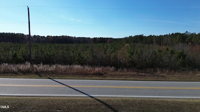 0 Duke Valentine Wynne Rd unit 10133928, Louisburg, NC 27549 - photo 3