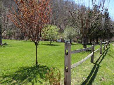 Back Yard 2