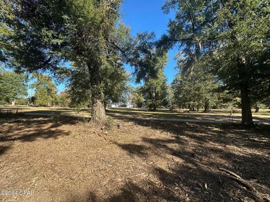 2836 Appalachee Trail, Marianna, FL 32446 - photo 6