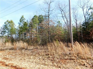 Lot 8 Furnace Rd, Lincolnton, NC 28092 - photo 5