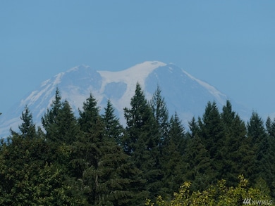 181 Marsyla Heights Dr, Winlock, WA 98596 - photo 3