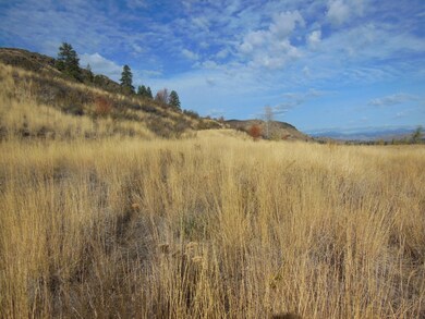 0 May St unit 706766, Twisp, WA 98856 - photo 2