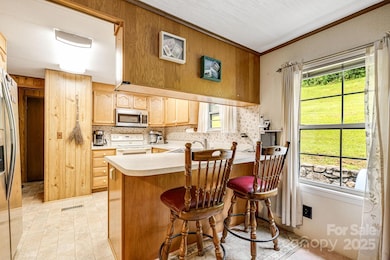 582 Lewis Branch Rd, Marshall, NC 28753 - photo 7