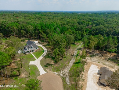 174 Hunter's Cove, Madison, MS 39110 - photo 3