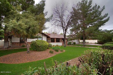 Juniper Listing 042