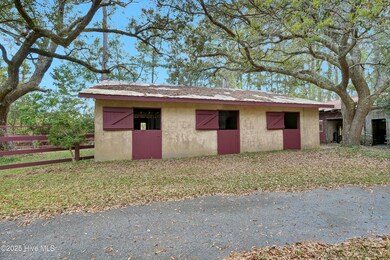 067_p1244136_311