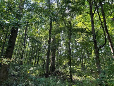 GORGEOUS ACREAGE!