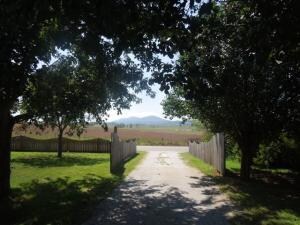 Drive & view #132487