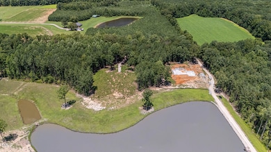 015_dji_20250716135222_0004_d-edit_309
