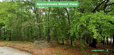 3. Street View