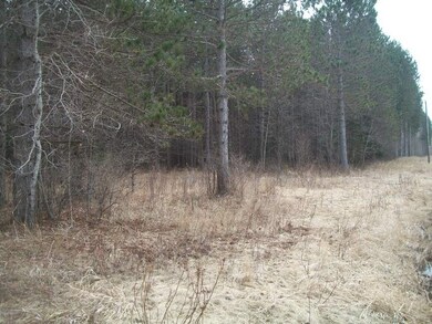 N4268 County Road B, Glen Flora, WI 54526 - photo 2