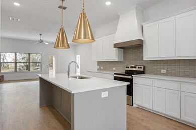 121 Tobiano Trace, Brock, TX 76087 - photo 5