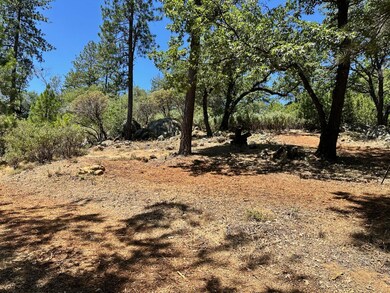 1870-Lot 406 E Summit View Dr, Meadow Vista, CA 95722 - photo 7