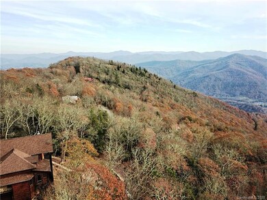 Drone photo with estimated view in front of trees at street level