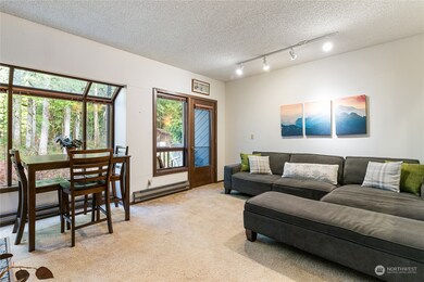 10500 Mt Baker Hwy unit 409, Deming, WA 98244 - photo 3