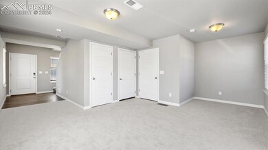 Lower level bonus room.