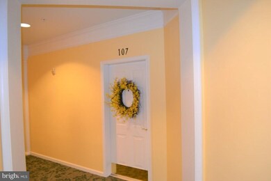 2608 Chapel Lake Dr unit 107, Gambrills, MD 21054 - photo 5