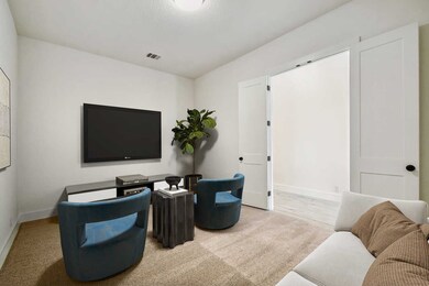Entertainment Room