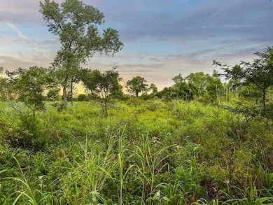 0 Fm 171 unit 11599336, Ryan, OK 73565 - photo 4