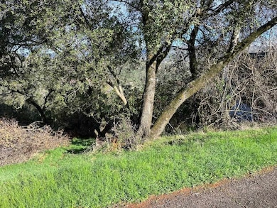 4881 Pueblo Trail, Copperopolis, CA 95229 - photo 4