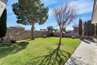 398 Brill Cir, Horizon City, TX 79928 - photo 7