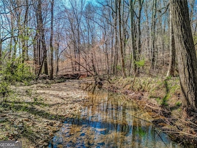 47 ac Jesse Martin Trail, Canton, GA 30115 - photo 7