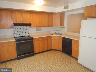 5321 Bangor Dr, Kensington, MD 20895 - photo 5