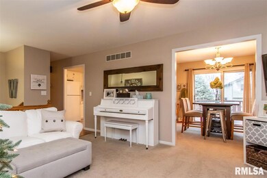 5518 N Ramblewood Ct, Peoria, IL 61615 - photo 3