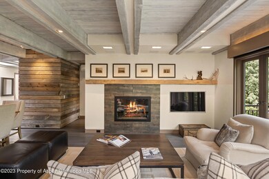 525 S Original St unit F, Aspen, CO 81611 - photo 4