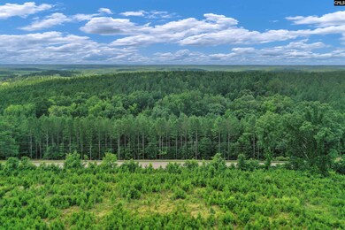 0000 S Carolina 215 unit 9, Jenkinsville, SC 29065 - photo 6