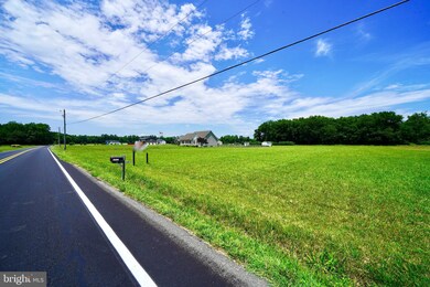 20229 W Piney Grove Rd, Georgetown, DE 19947 - photo 2