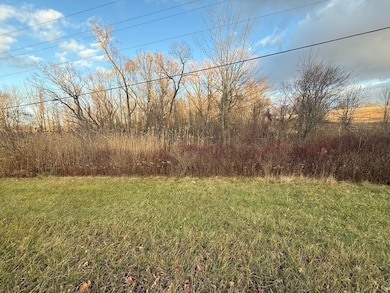 8188 Route 104 A, Wolcott, NY 14590 - photo 4